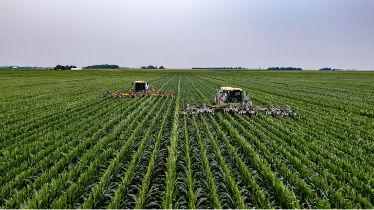 En México y América Latina, la agricultura familiar y comunitaria enfrenta desafíos constantes.