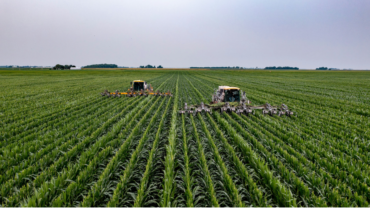 En México y América Latina, la agricultura familiar y comunitaria enfrenta desafíos constantes.