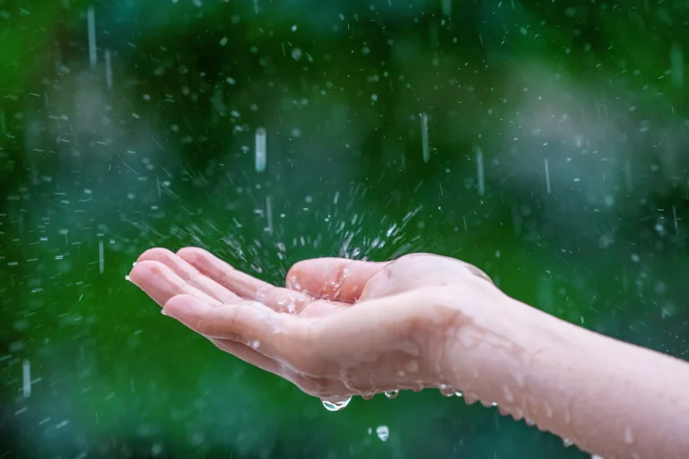 Mano abierta recibiendo gotas de lluvia intensa, simbolizando temporada de lluvias y contacto con naturaleza.
