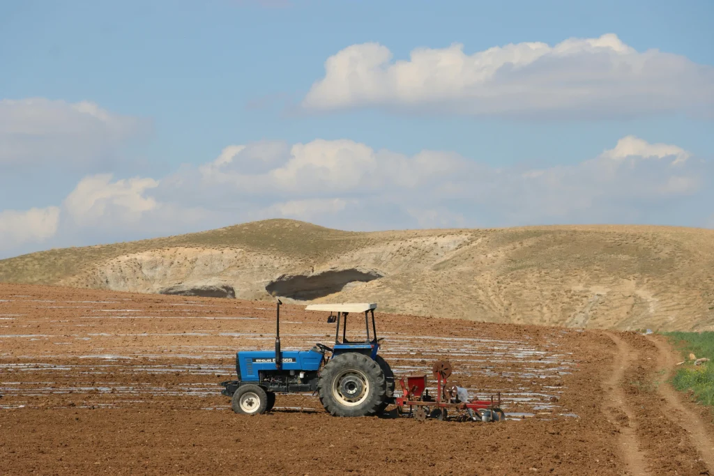 El campo mexicano vive un escenario complejo donde el clima, las plagas y las pérdidas económicas son cada vez más frecuentes.